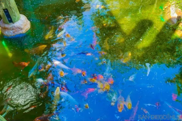 a yellow house with a yard and potted plants