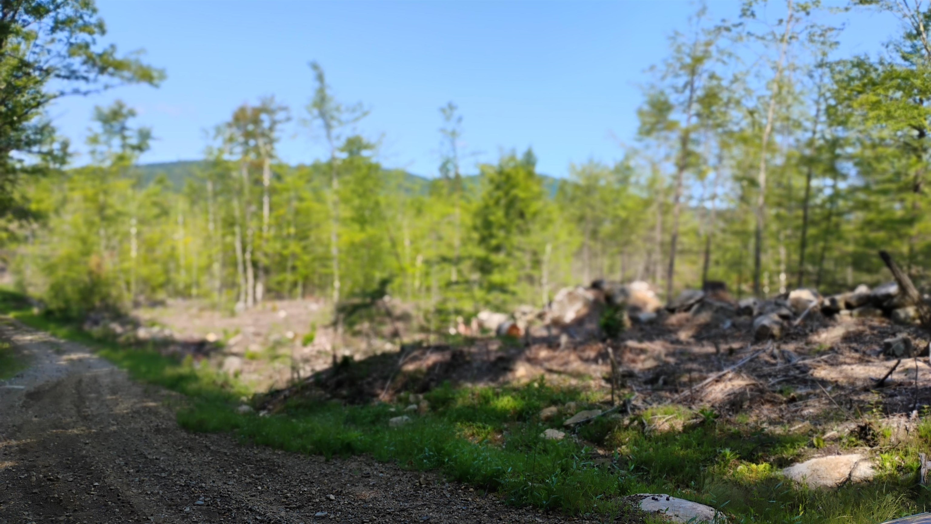 Xx Issac Colby Road Sanbornton, NH 03269 - Photo 5 of 11 Gallery Image 5