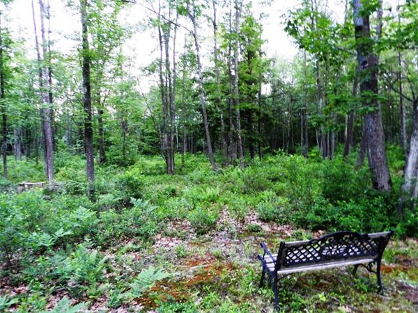 25 Baptist Common Road Templeton, MA 01468 - Photo 8 of 29 Gallery Image 8