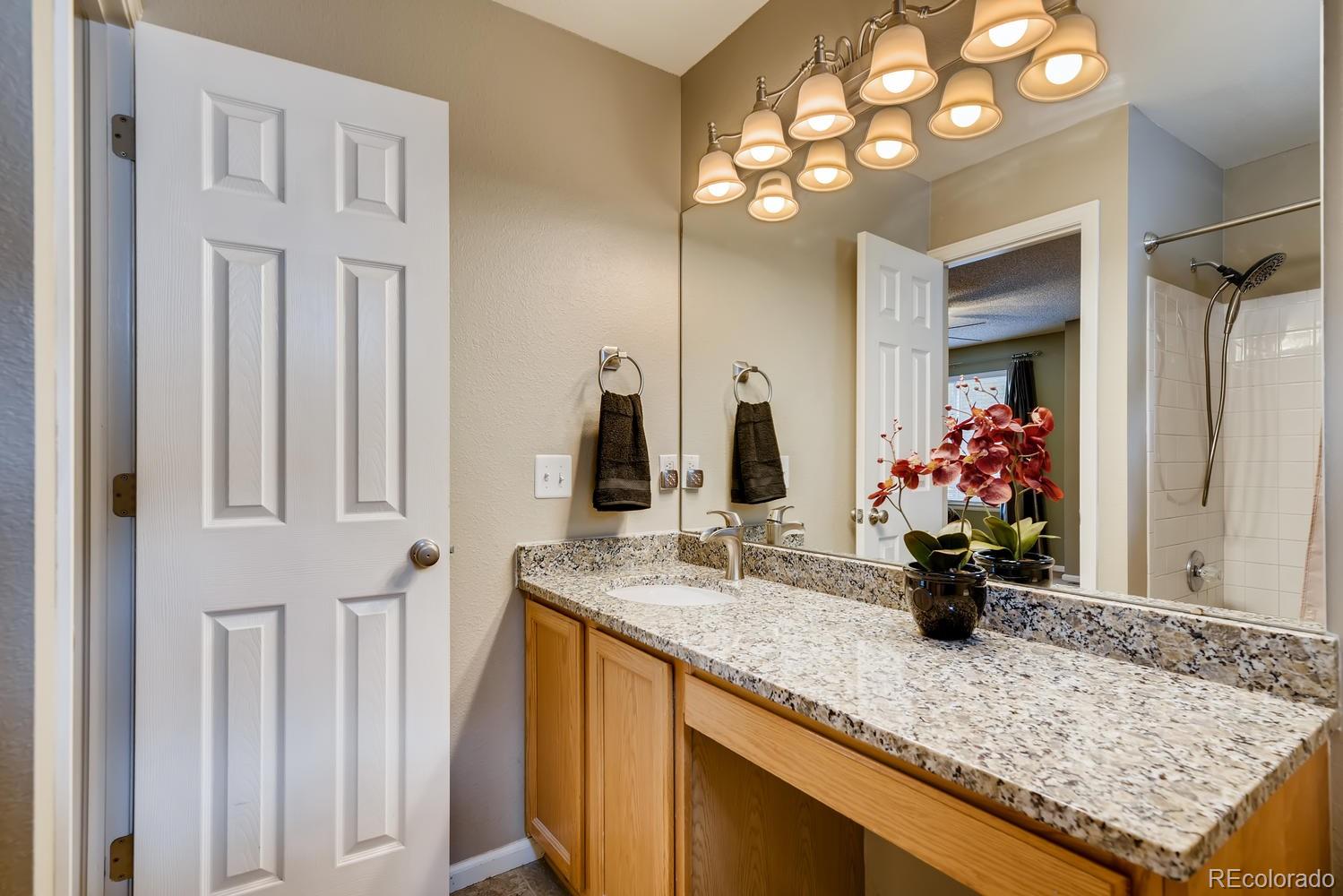 9511 South Castle Ridge Circle Highlands Ranch, CO 80129 - Photo 17 of 28