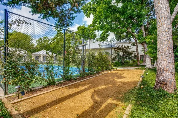 a view of a yard with plants and large trees