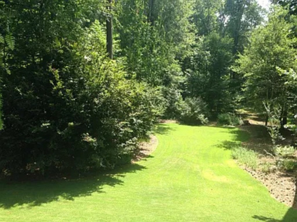 6070 Pierce Chapel Road Midland, GA 31820 - Photo 3 of 36