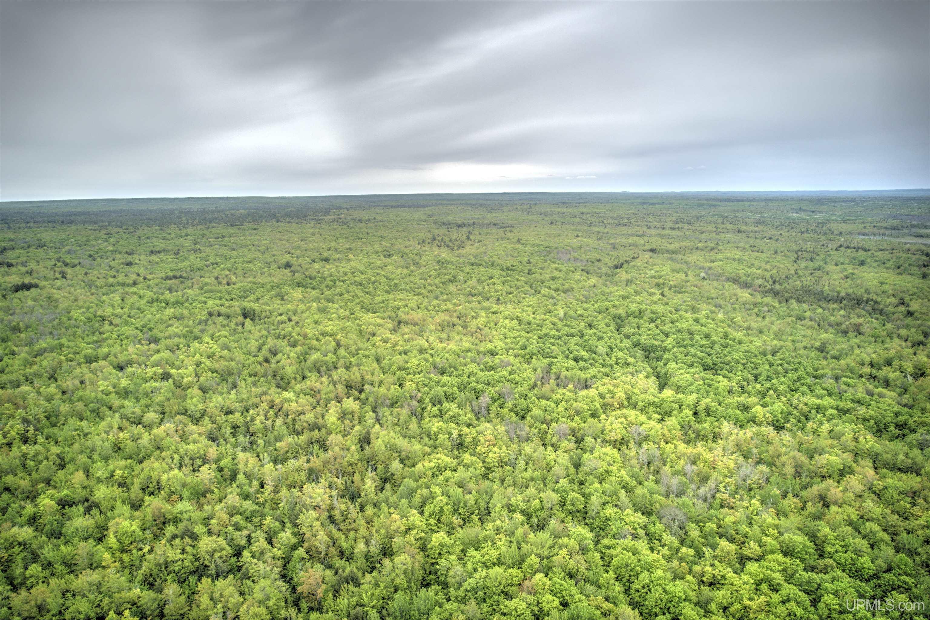 Tbd Tbd Segan Road Marquette, MI 49855 - Photo 1 of 21