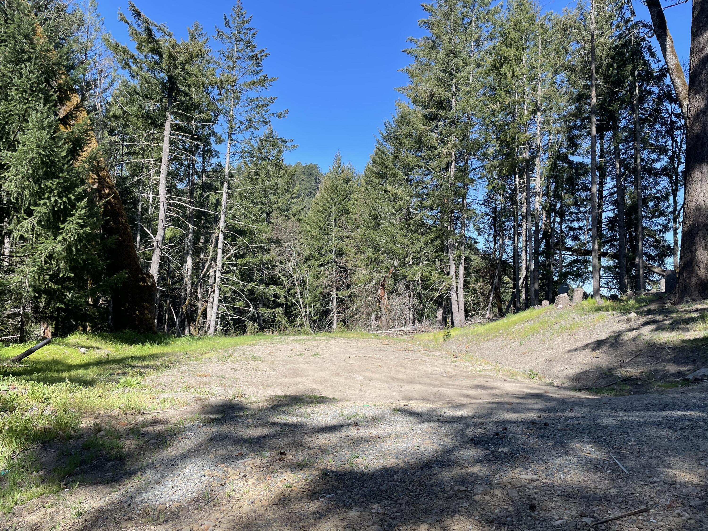 0 Stagecoach Road Bridgeville, CA 95526 - Photo 22 of 24