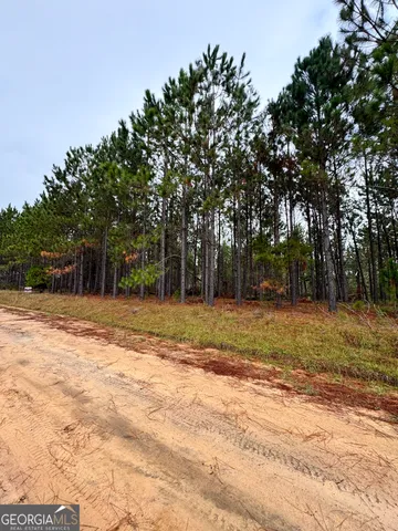 $60,000 | 664 Mount Carmel Church Road, Alamo, GA 30411