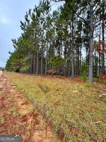 $60,000 | 664 Mount Carmel Church Road, Alamo, GA 30411