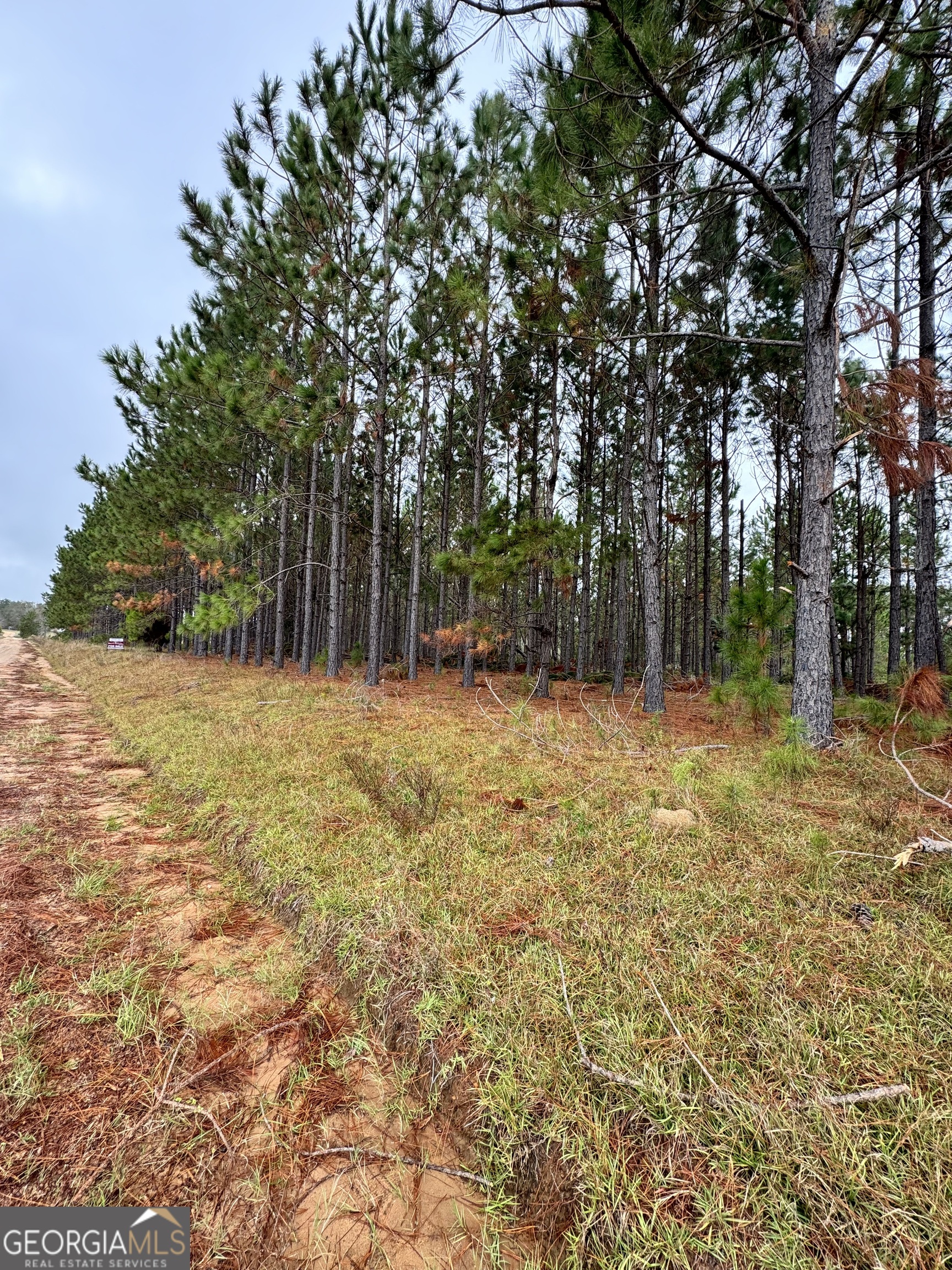 664 Mount Carmel Church Road Alamo, GA 30411 - Photo 2 of 3