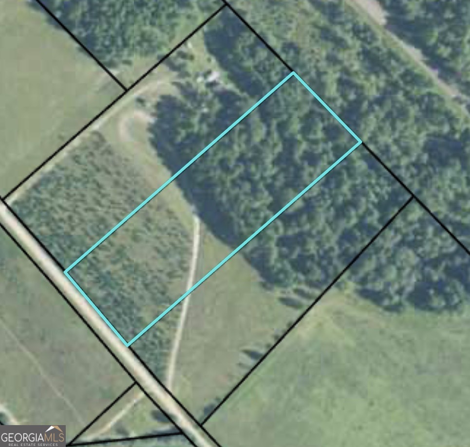 664 Mount Carmel Church Road Alamo, GA 30411 - Photo 3 of 3