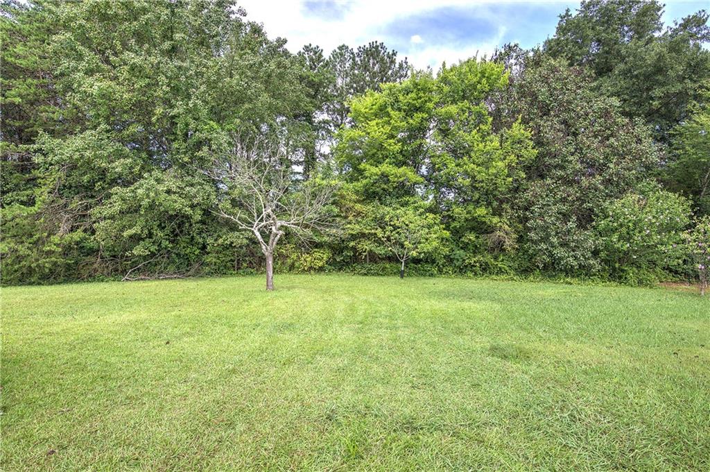 81 Old Stilesboro Road Southwest Taylorsville, GA 30178 - Photo 30 of 43