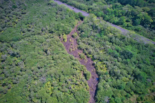 an aerial view of residential house with outdoor space and trees all around