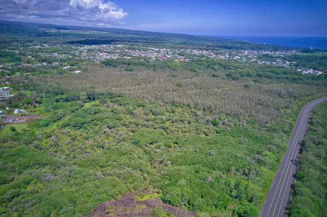 a view of a forest with a yard