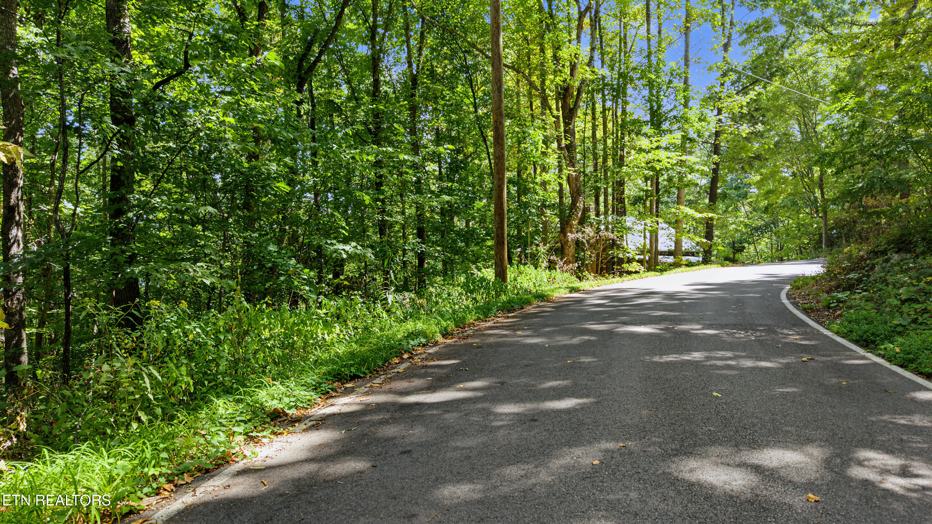 Old Cades Cove Road Townsend, TN 37882 - Photo 1 of 15 View of property on the left