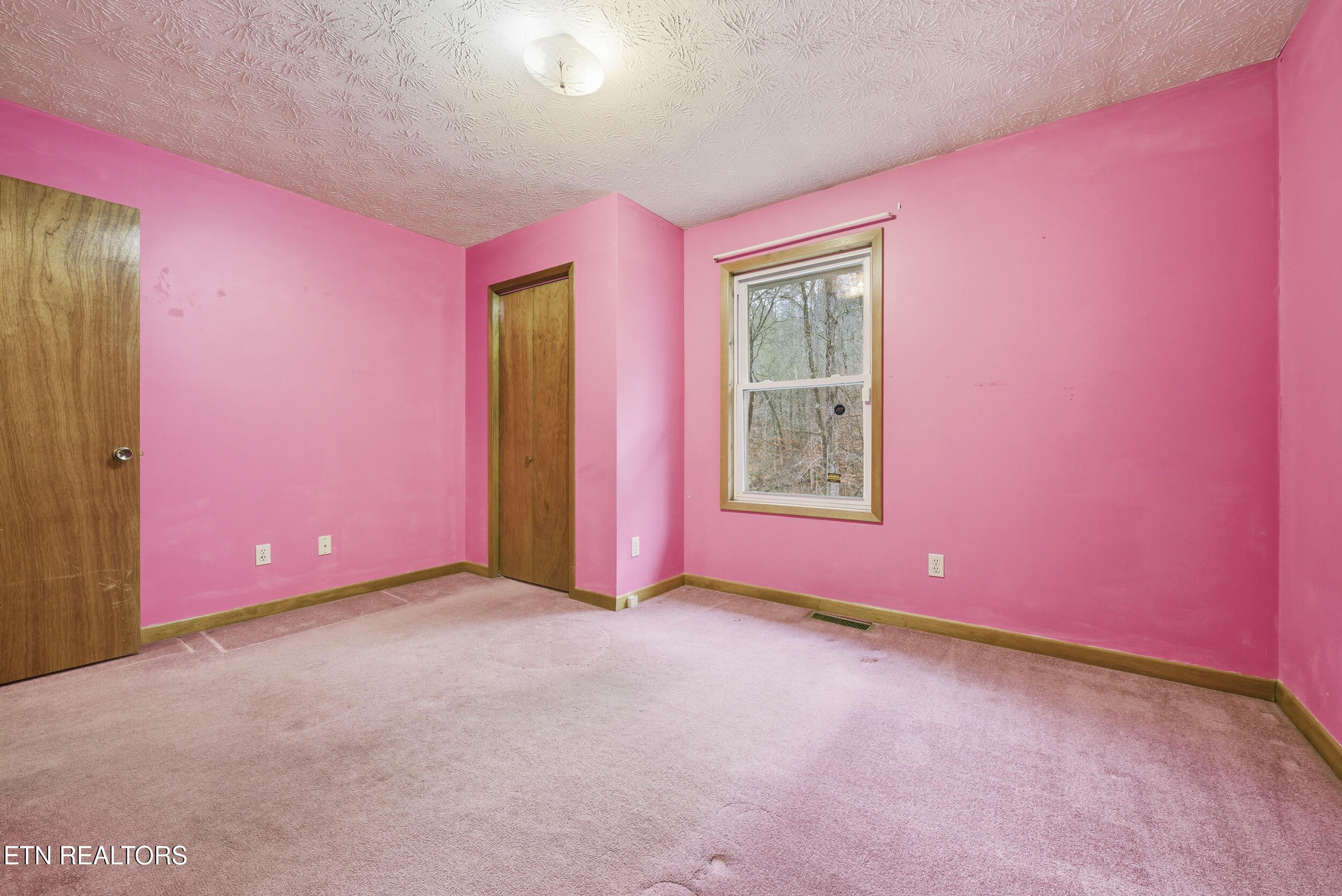 3522 Bogard Road Cosby, TN 37722 - Photo 29 of 48 24_img_0107