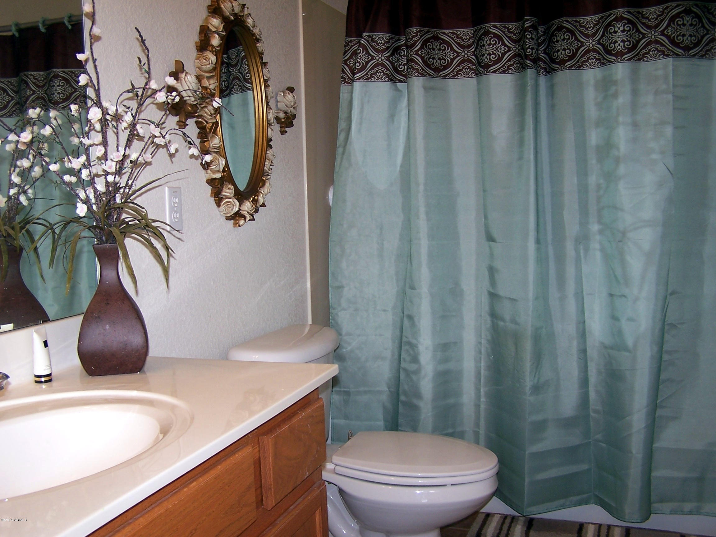 17557 West Calavar Road Surprise, AZ 85388 - Photo 8 of 21 Master Bath