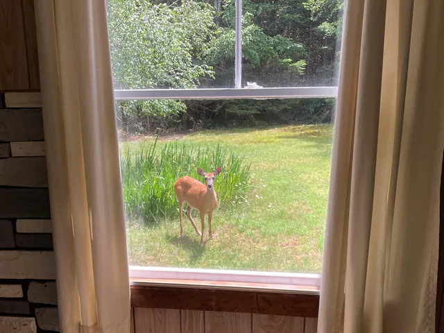 $275,000 | 373 Harbor Drive, Tremont, ME 04653