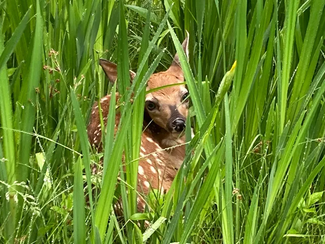 $275,000 | 373 Harbor Drive, Tremont, ME 04653