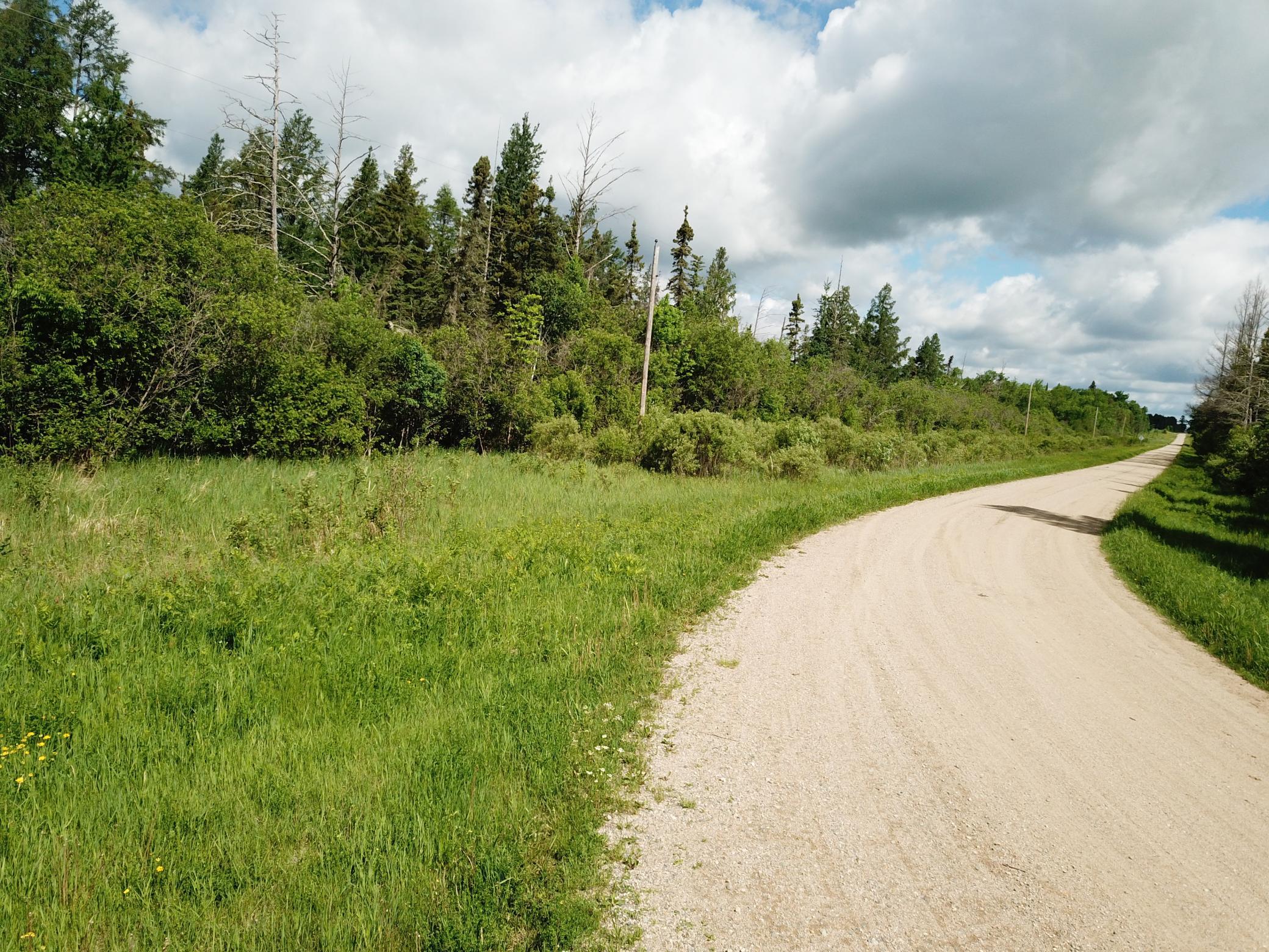 Tbd1 Mud Lake Road Bagley, MN 56621 - Photo 20 of 31
