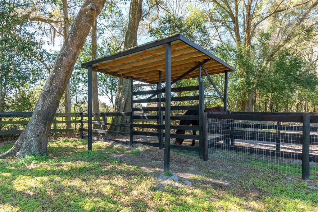 10 Carry Back Road Ocala, FL 34482 - Photo 61 of 69 Gallery Image 61