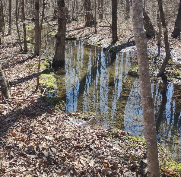 a view of a pathway of a house