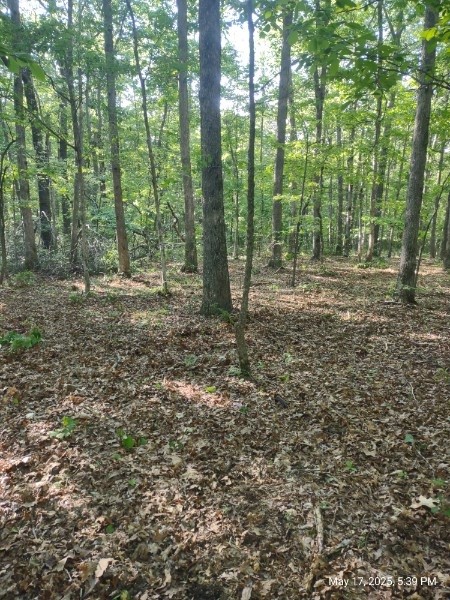 0 Deer Run Road Pelham, TN 37366 - Photo 22 of 24 a view of a forest with trees in the background