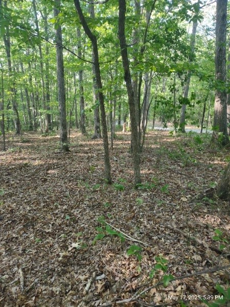 0 Deer Run Road Pelham, TN 37366 - Photo 23 of 24 a view of a forest with trees
