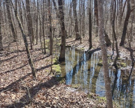 0 Deer Run Road Pelham, TN 37366 - Photo 5 of 24 a backyard of a house with lots of green space