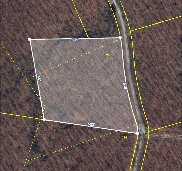 0 Deer Run Road Pelham, TN 37366 - Photo 6 of 24 a view of wooden wall