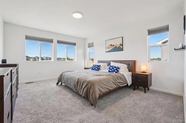 a bedroom with a bed and a couch