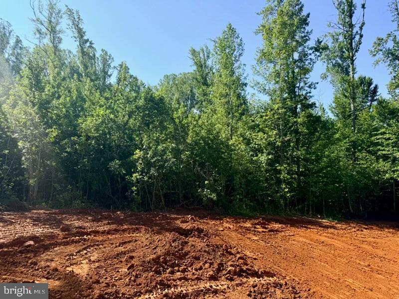 0 Post Oak Road Spotsylvania, VA 22551 - Photo 2 of 34 Rear Yard View