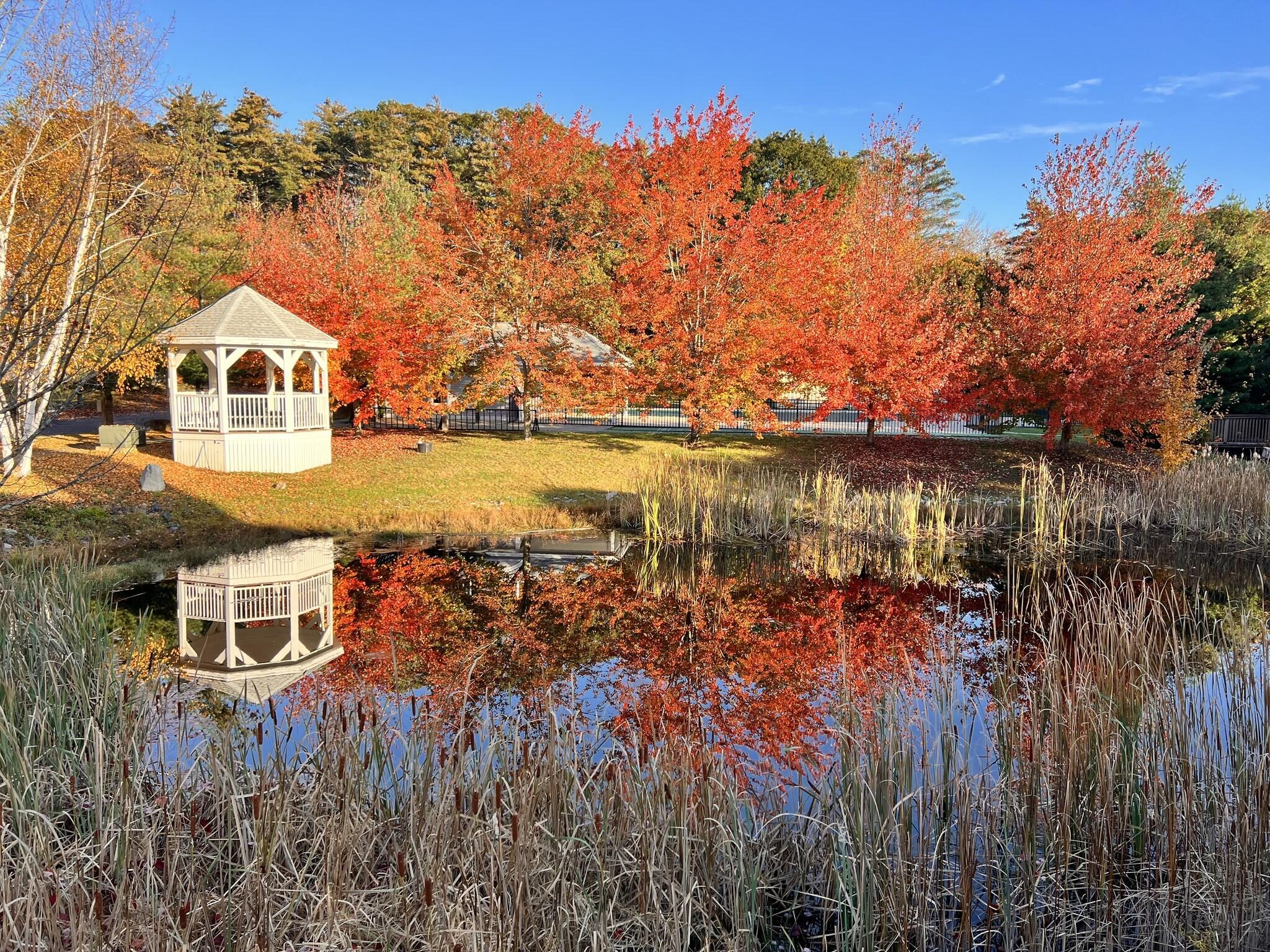454 Post Road, Unit 348 Wells, ME 04090 - Photo 39 of 40 Fall SV 2