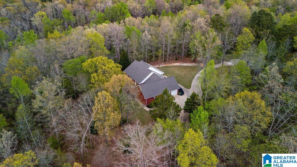 87 Timberline Circle Jasper, AL 35504 - Photo 51 of 55