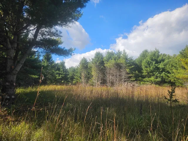 $55,000 | 26912 Marias Way, Webster, WI 54893