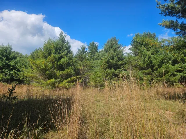 $55,000 | 26912 Marias Way, Webster, WI 54893