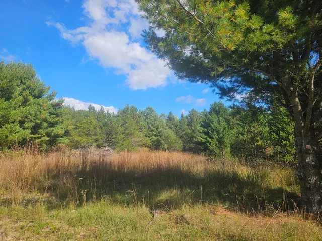 $55,000 | 26912 Marias Way, Webster, WI 54893