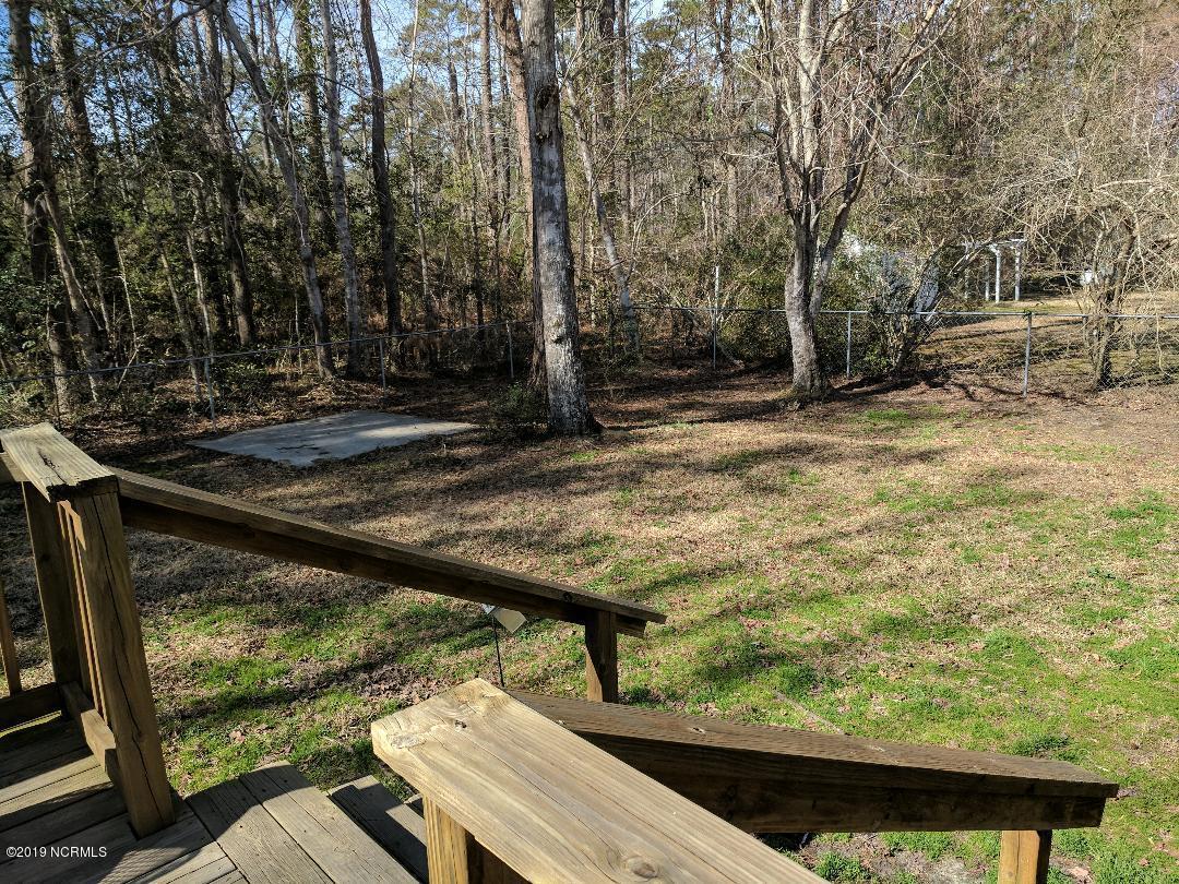 5805 County Line Road New Bern, NC 28562 - Photo 17 of 17 Peterman backyard