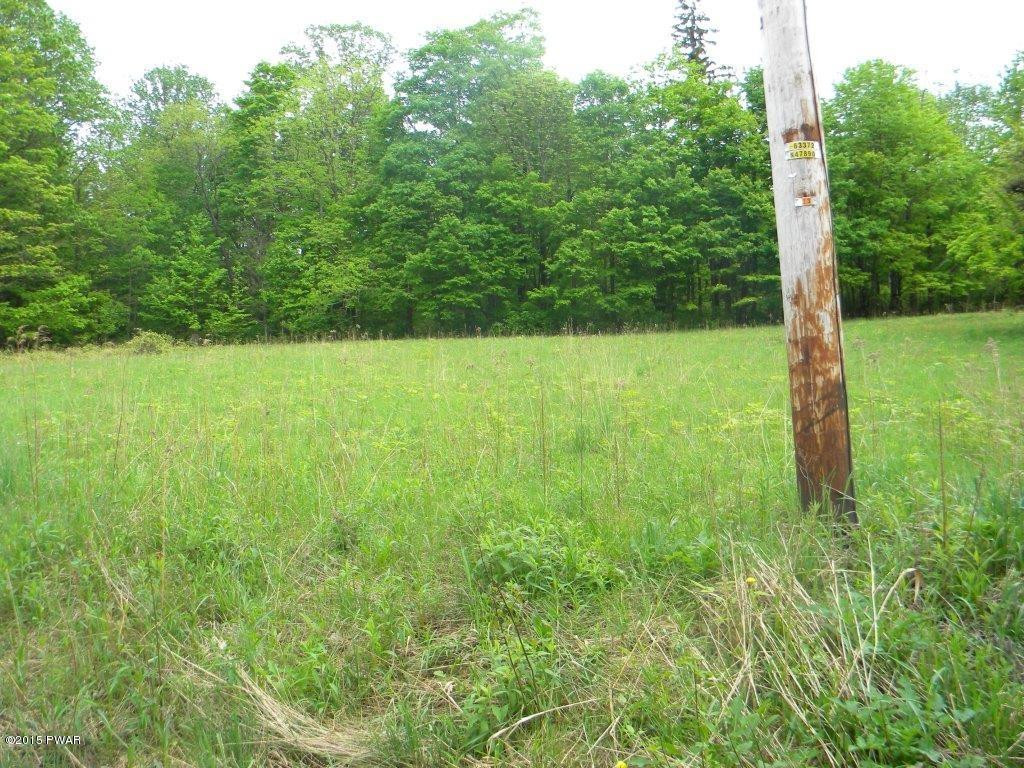 Silkman's Rd Lake Lake Ariel, PA 18436 - Photo 13 of 15