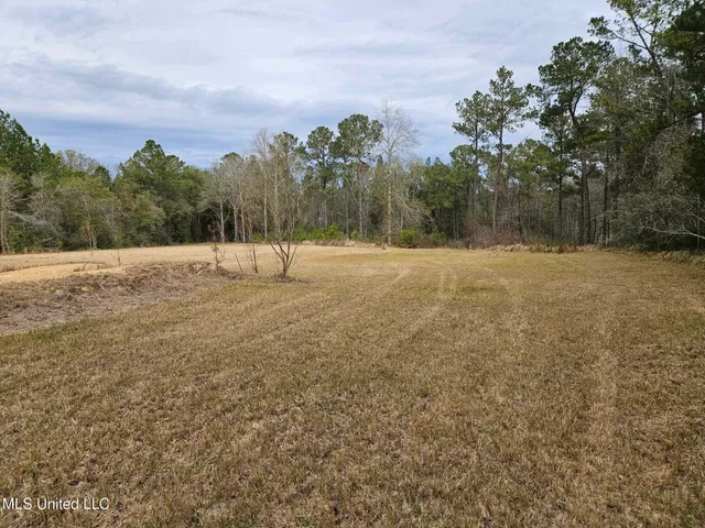 $55,000 | 46 Presley Drive, Wiggins, MS 39577