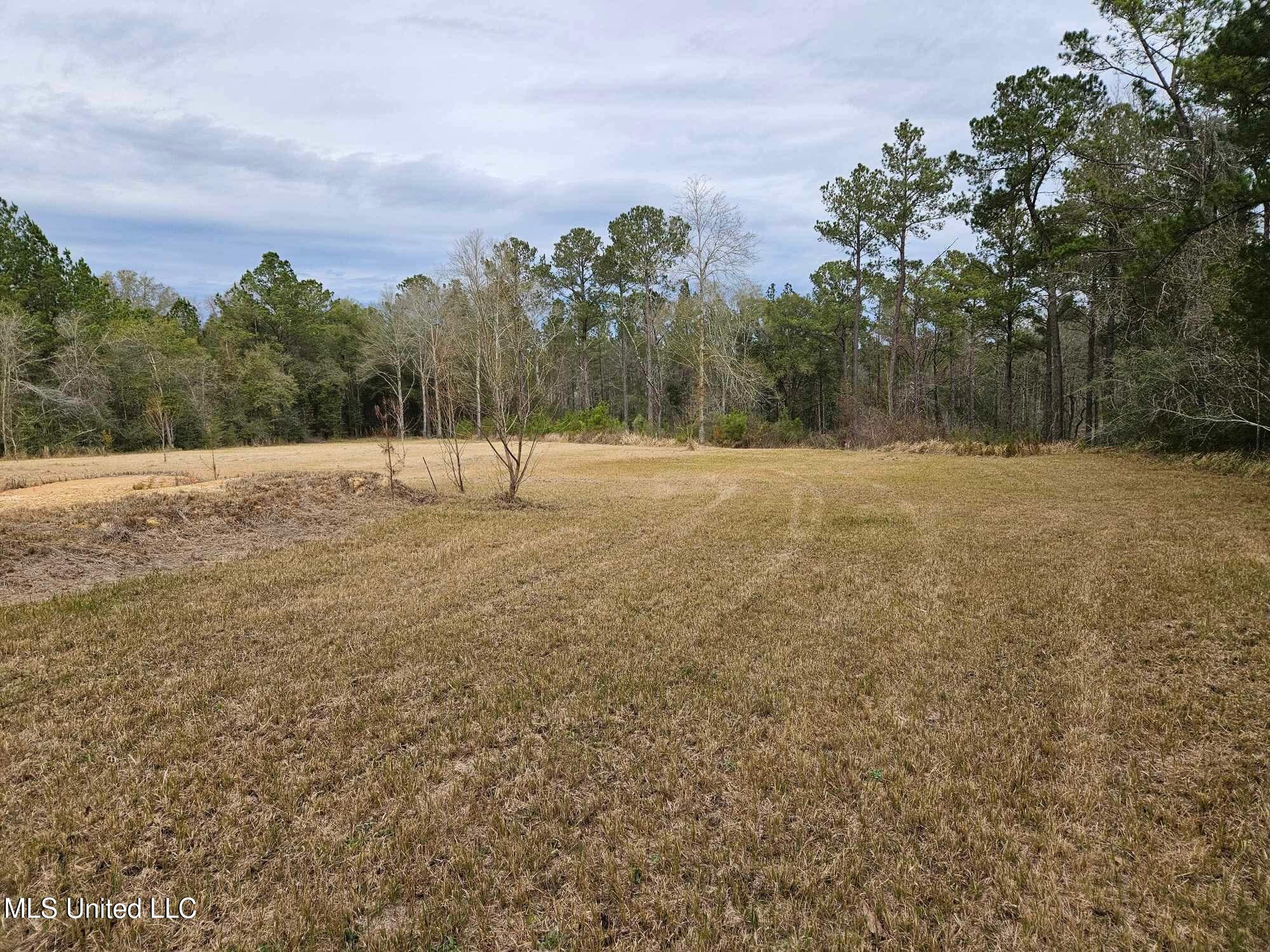 46 Presley Drive Wiggins, MS 39577 - Photo 11 of 18 3313a8f1b0a753b72e10264eb9353ddd