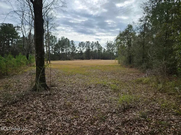 $55,000 | 46 Presley Drive, Wiggins, MS 39577