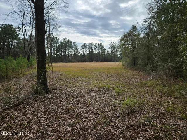 $55,000 | 46 Presley Drive, Wiggins, MS 39577