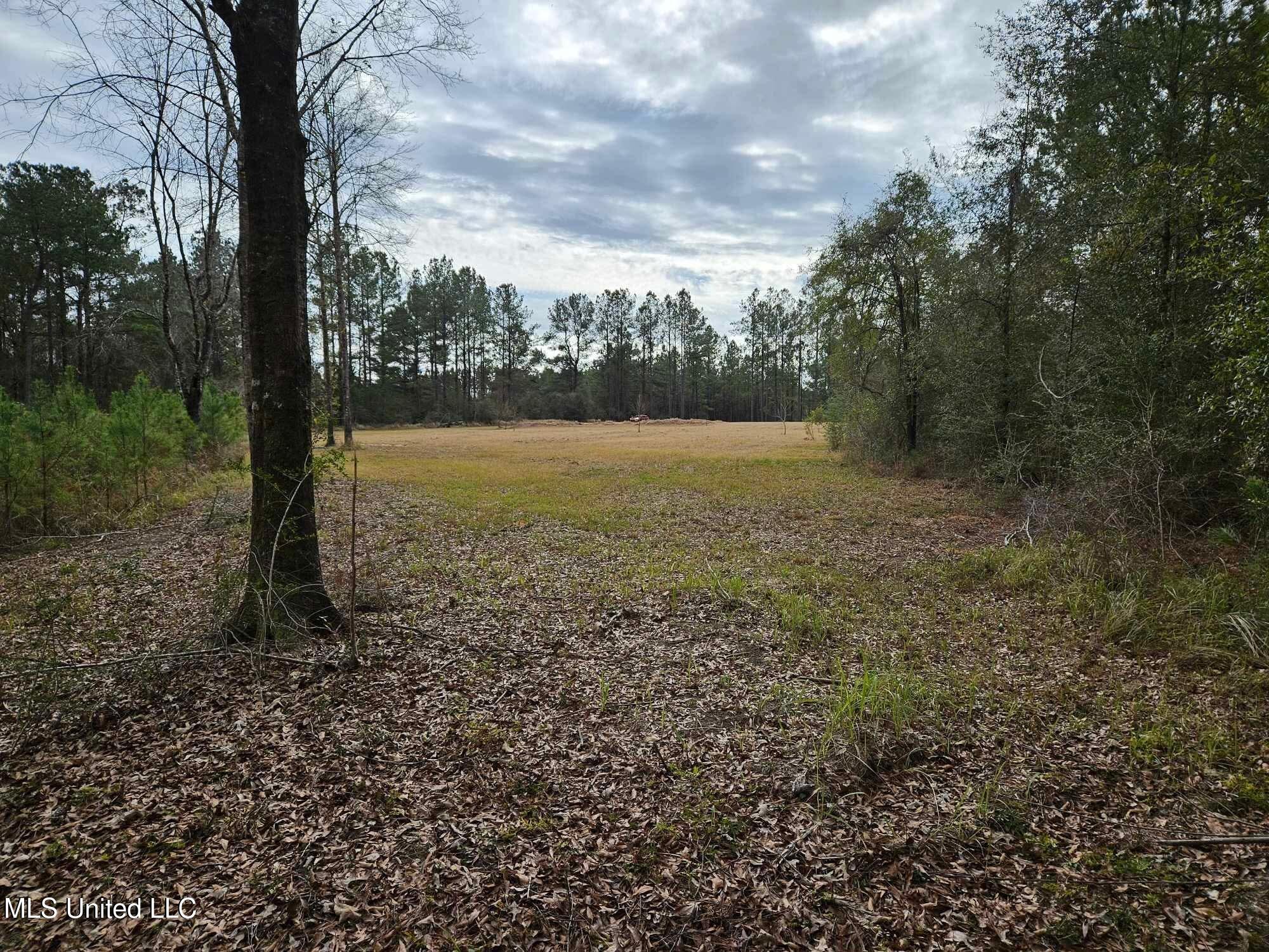 46 Presley Drive Wiggins, MS 39577 - Photo 12 of 18 1d3bb1578749cec4f2f69307d7aab310