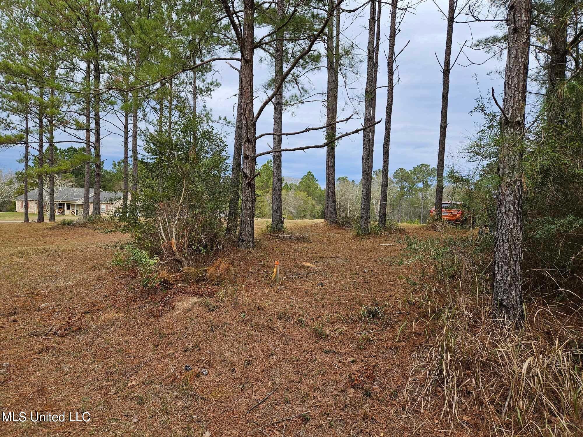 46 Presley Drive Wiggins, MS 39577 - Photo 13 of 18 1e891a2b9af8c09aecf4f38d0e4996f6