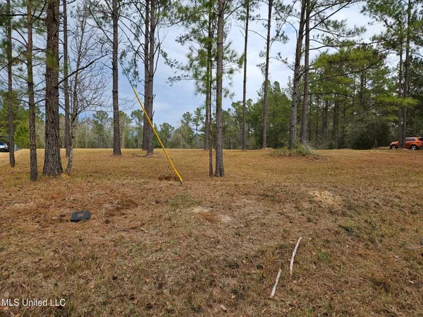 $55,000 | 46 Presley Drive, Wiggins, MS 39577