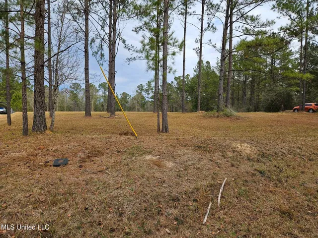 $55,000 | 46 Presley Drive, Wiggins, MS 39577