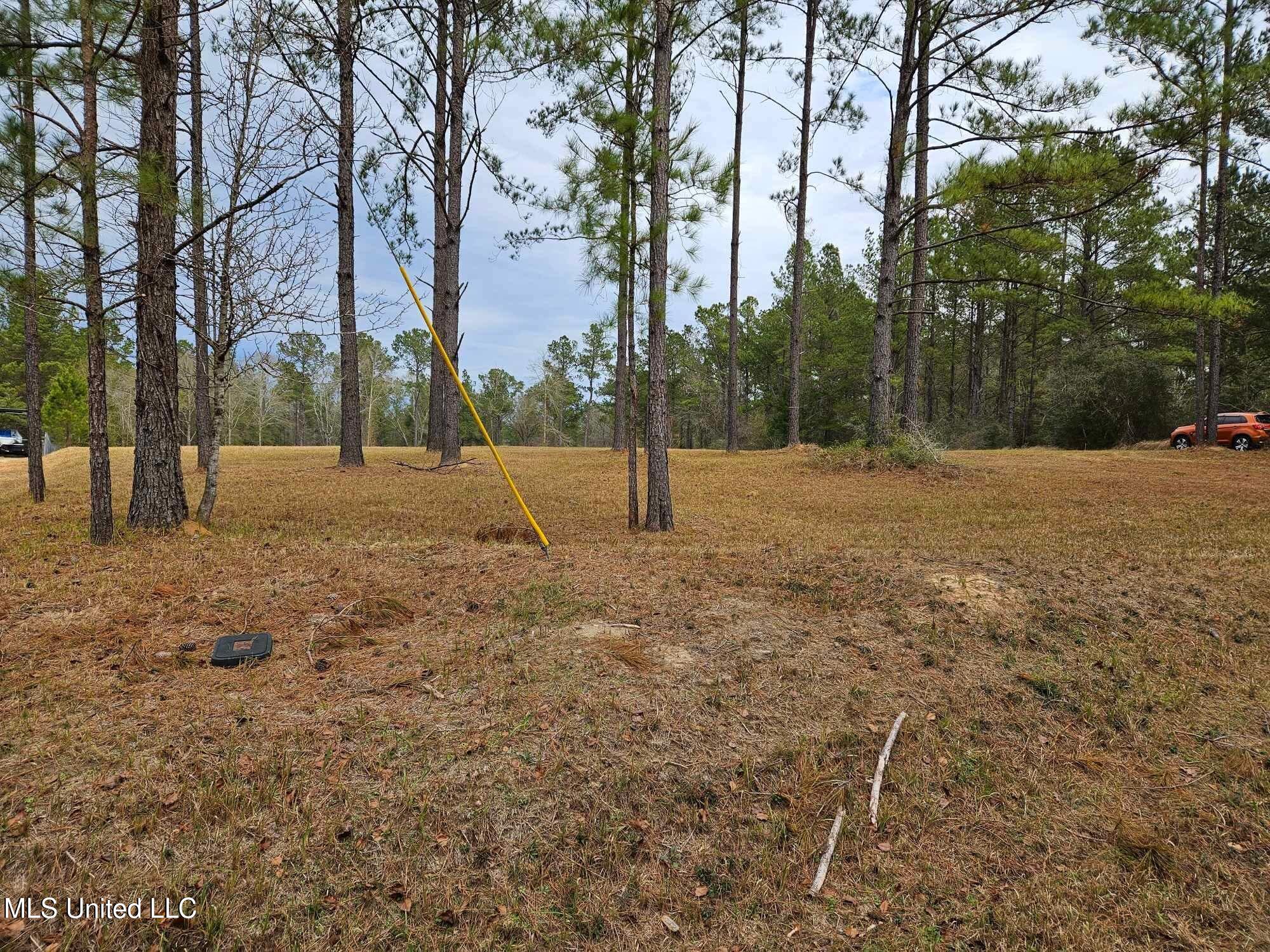 46 Presley Drive Wiggins, MS 39577 - Photo 14 of 18 b7b8fbaac219c6fe1ed84be067feff66