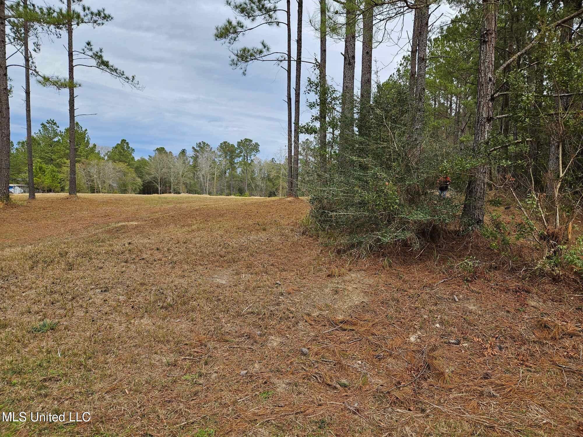 46 Presley Drive Wiggins, MS 39577 - Photo 15 of 18 83874132d09fad76f97f33f293c32d88