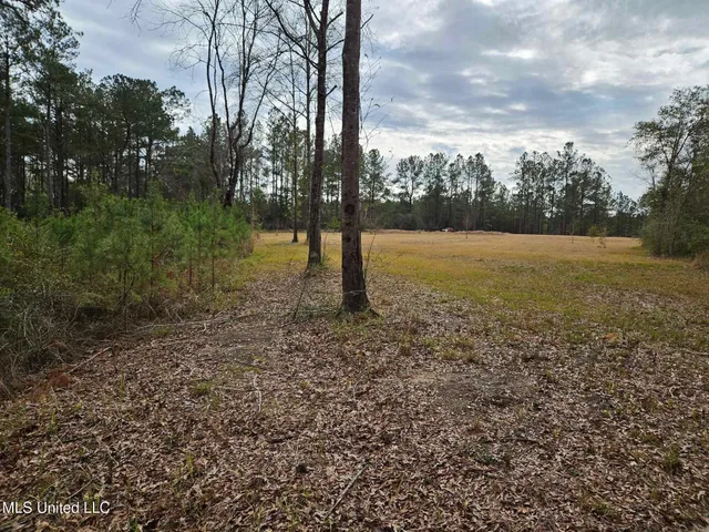 $55,000 | 46 Presley Drive, Wiggins, MS 39577