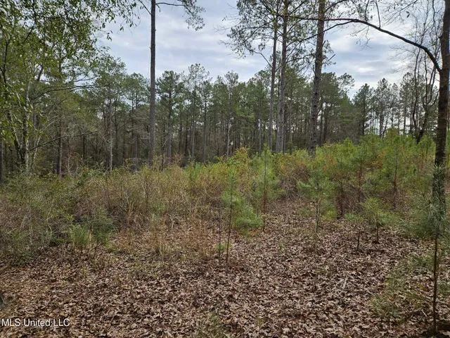 $55,000 | 46 Presley Drive, Wiggins, MS 39577