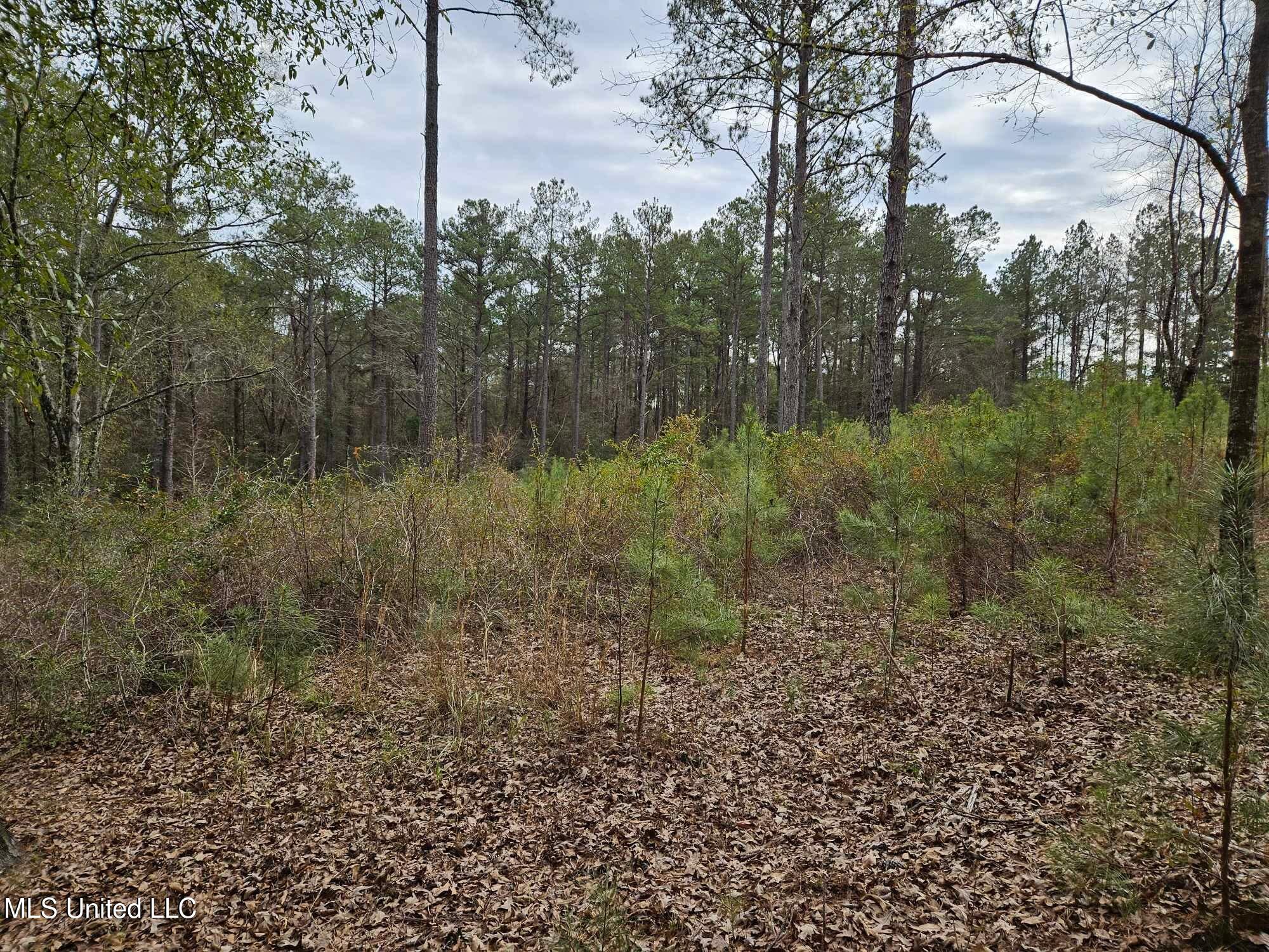 46 Presley Drive Wiggins, MS 39577 - Photo 17 of 18 915e74cd38d52d953e1d65c1e74fd316