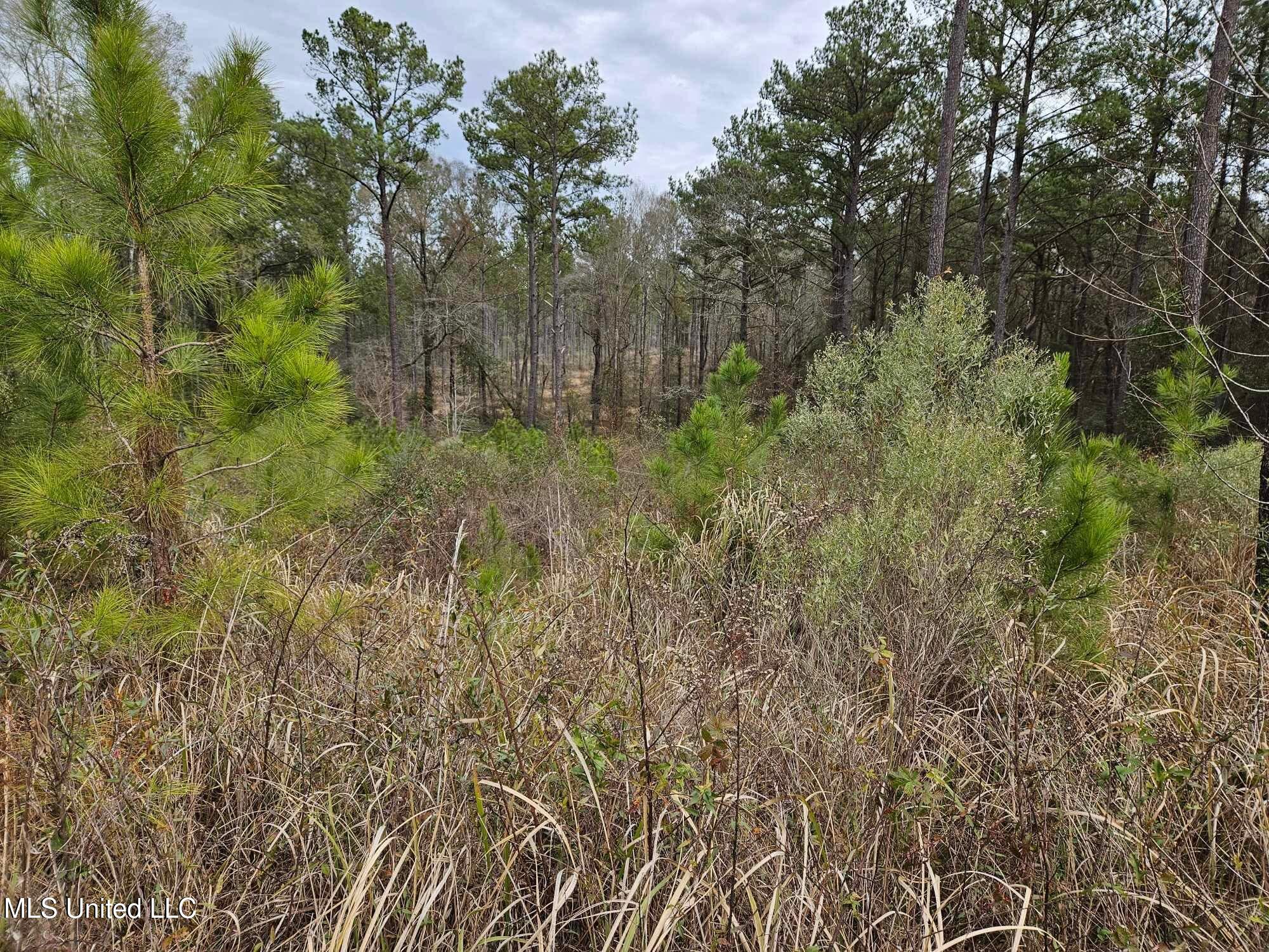 46 Presley Drive Wiggins, MS 39577 - Photo 18 of 18 2997c068320b31faadd2c86a6bbbcd82